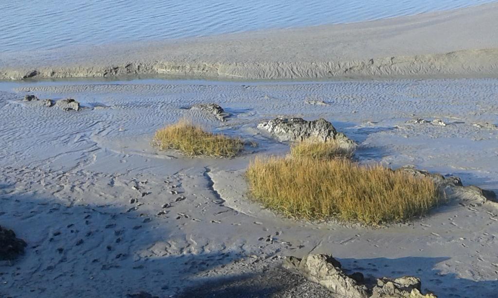 Les Hirondelles De La Baie Villa Vains Kültér fotó
